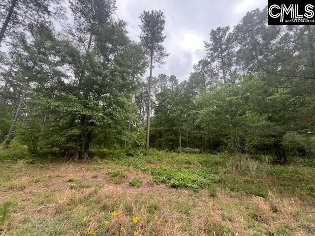Property Photo:  Fox Young  SC 29164 