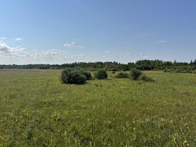 Property Photo:  0 Pth 59 Highway  MB R0E 1C0 