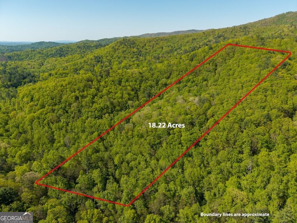 Property Photo:  Tr 1 Pleasant Hill Trail  GA 30540 
