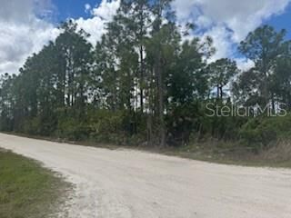 Property Photo:  29459 Clara Drive  FL 33982 