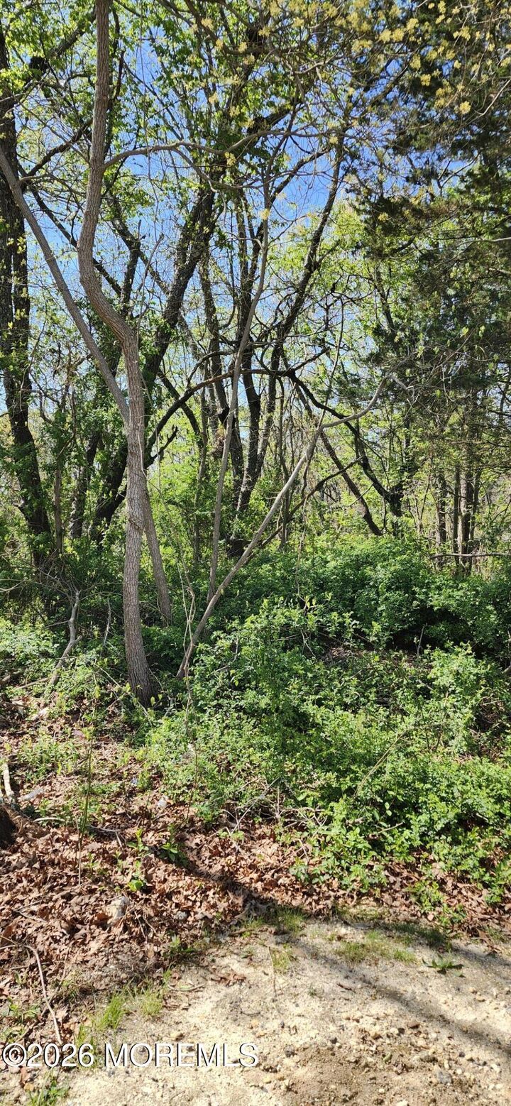 Property Photo:  2501 Tilton Road  NJ 08234 