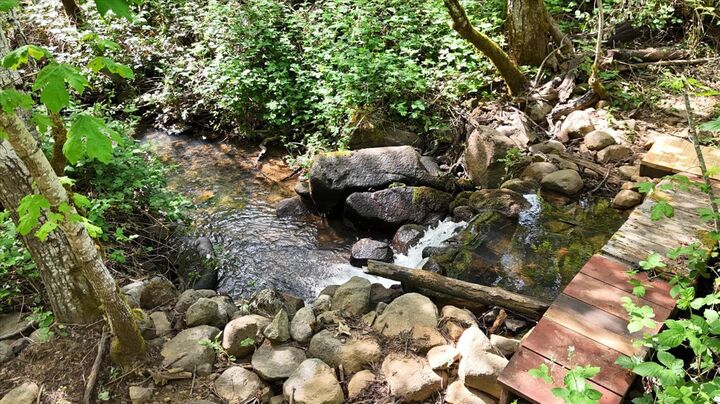 Property Photo:  12638 Francis  CA 95949 