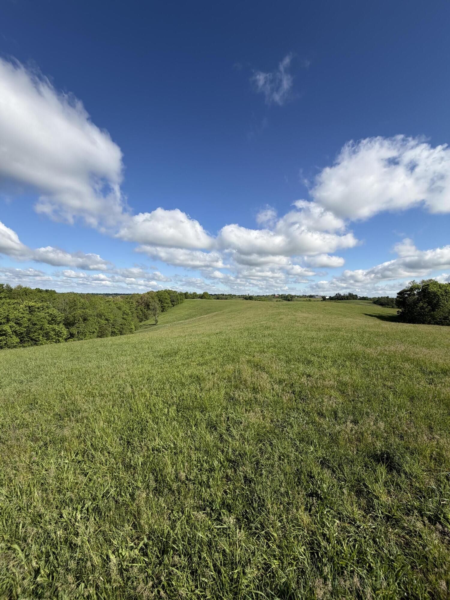 Property Photo: 5.11 Ac Chipman Ridge Road KY 41097