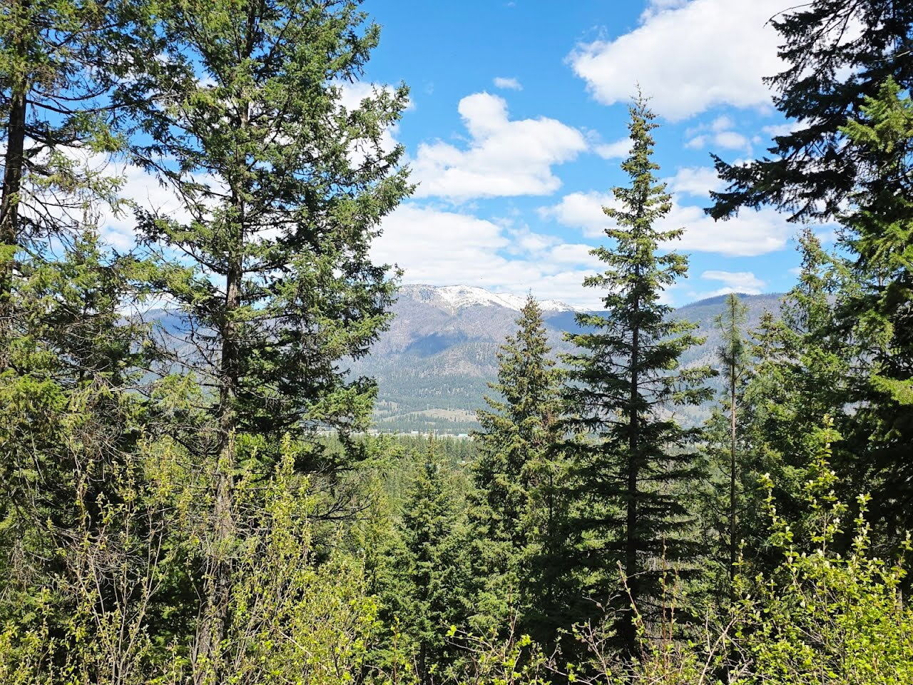 Property Photo:  93 Wapiti Point Road  MT 59873 