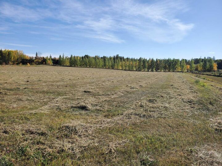 Property Photo: 68164 Campsite Road 105 AB T0A 2T0