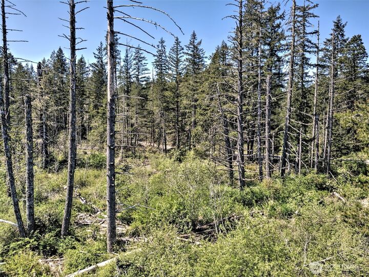 Property Photo: 1161 NE Toonerville Drive WA 98528