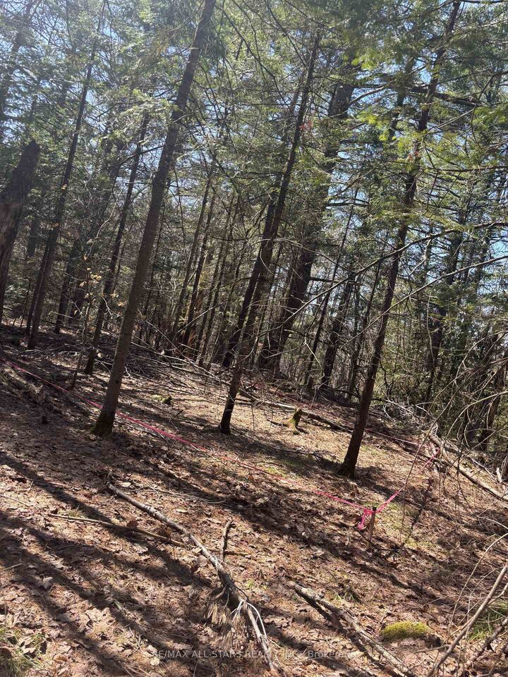0 Kirkpatrick Lane — photo 1