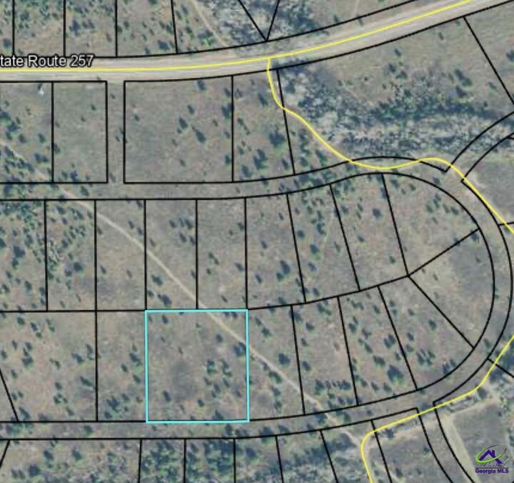 Property Photo:  0 Palm Circle  GA 31036 