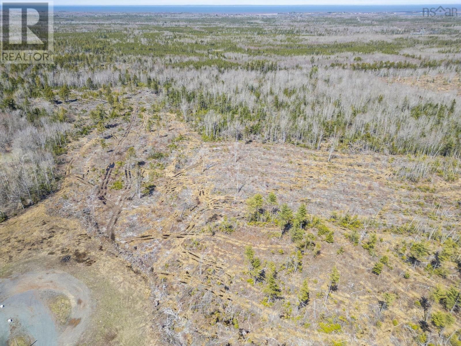 Property Photo:  7013 6 Highway  NS B0K 1H0 