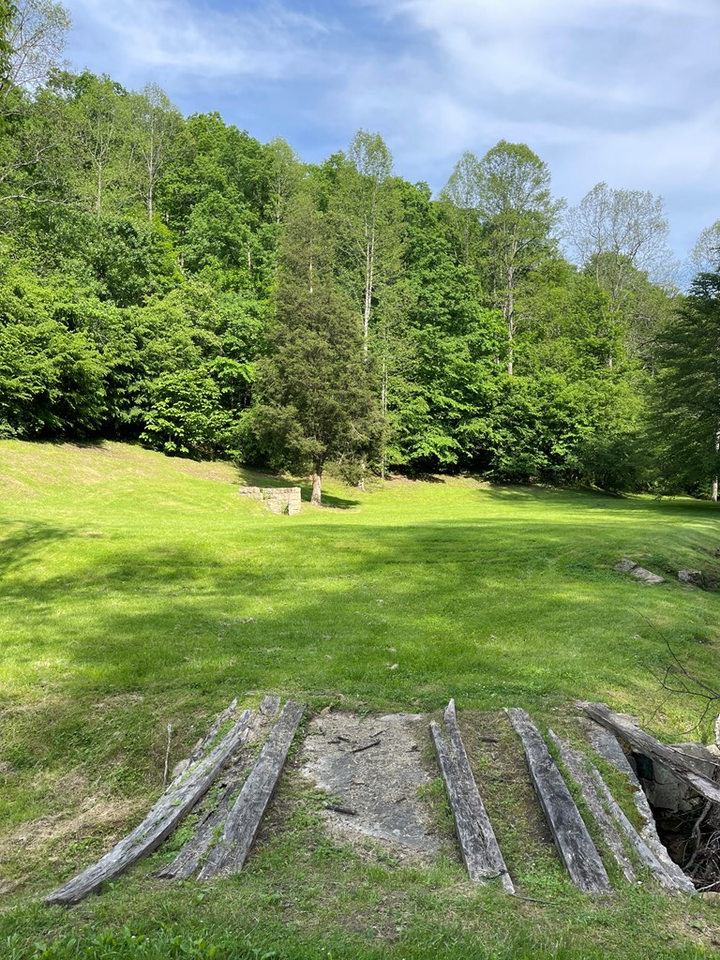 Property Photo:  317 Turkey Crum Branch  KY 41224 