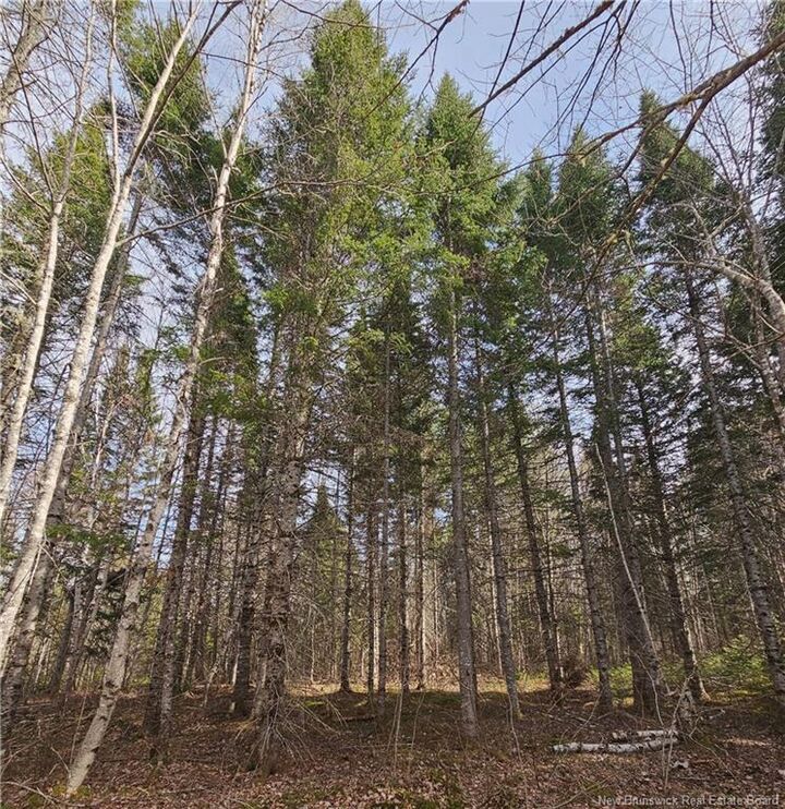 Property Photo:  00 Route 118  NB E9E 2G8 