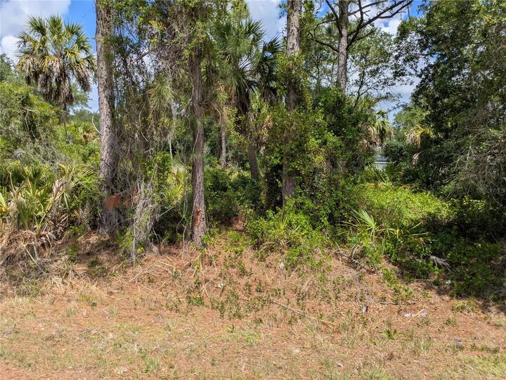 Property Photo:  Delight Avenue  FL 34288 