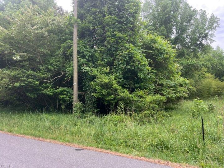 Property Photo: 1 Acre Mansion Ave VA 23899