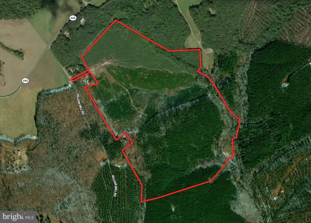 Property Photo:  116.32 Acres Gilliam Mill Road  VA 23936 
