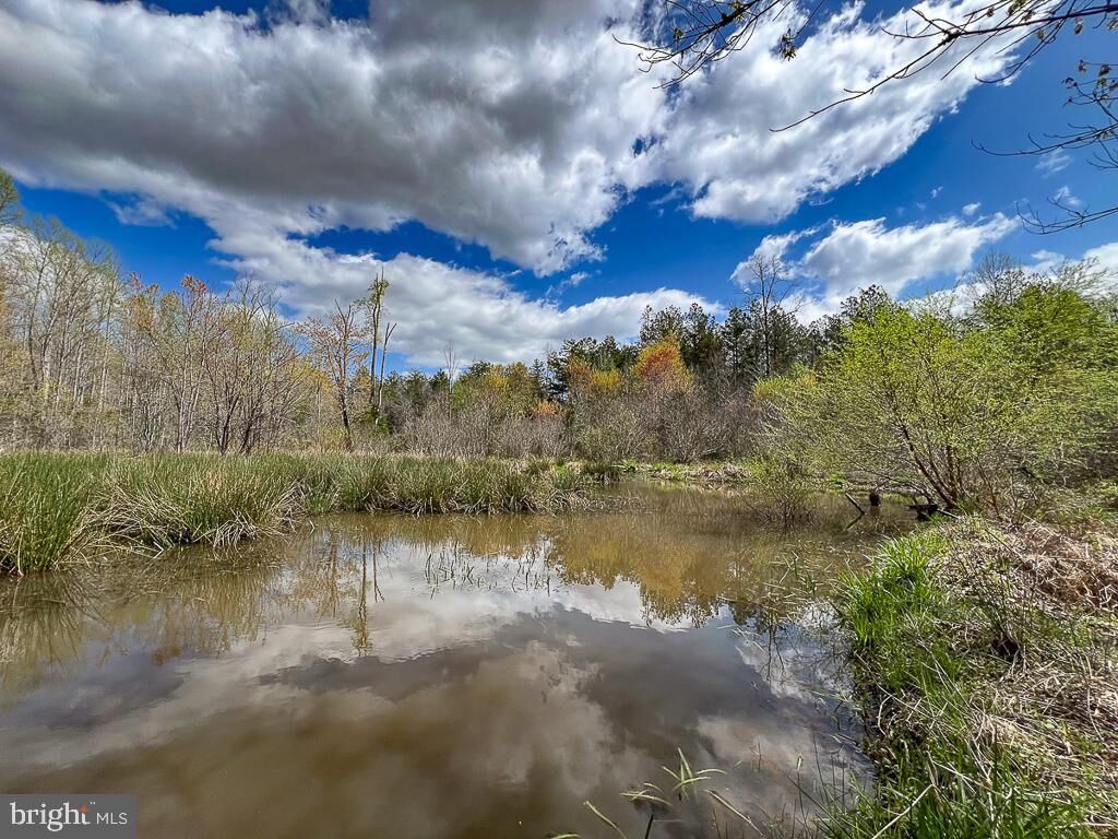 Property Photo:  116.32 Acres Gilliam Mill Road  VA 23936 