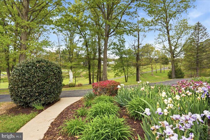 Property Photo:  50 Cottage Drive  VA 22835 