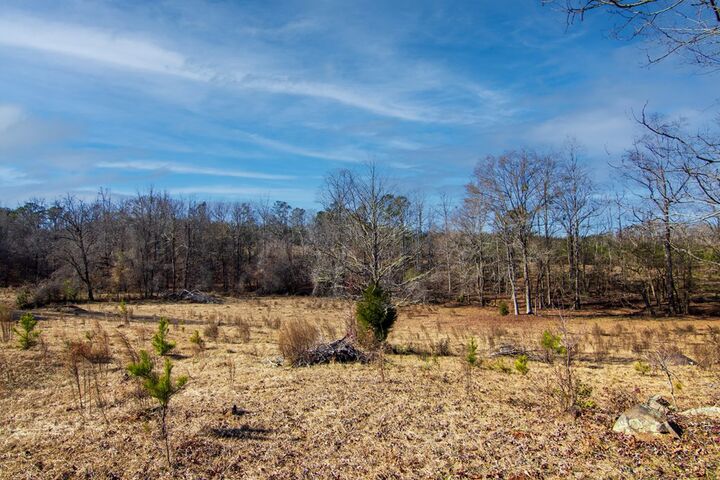 Property Photo:  Tract 2 - 0 St. Paul Church Road  GA 31826 