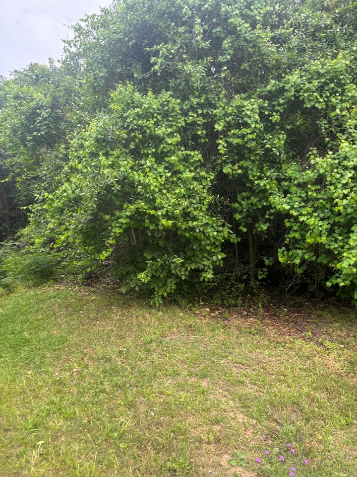 Property Photo:  0 Hills Ally  GA 31079 
