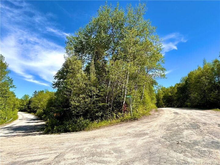 2.87 Acres Portage River Road — photo 1