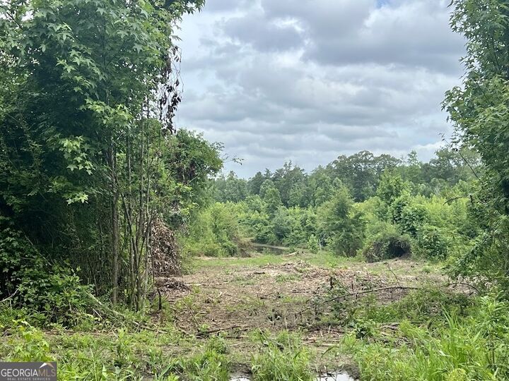 Property Photo:  0 Folds Rd (Tract D 22.67 Acres)  GA 30116 