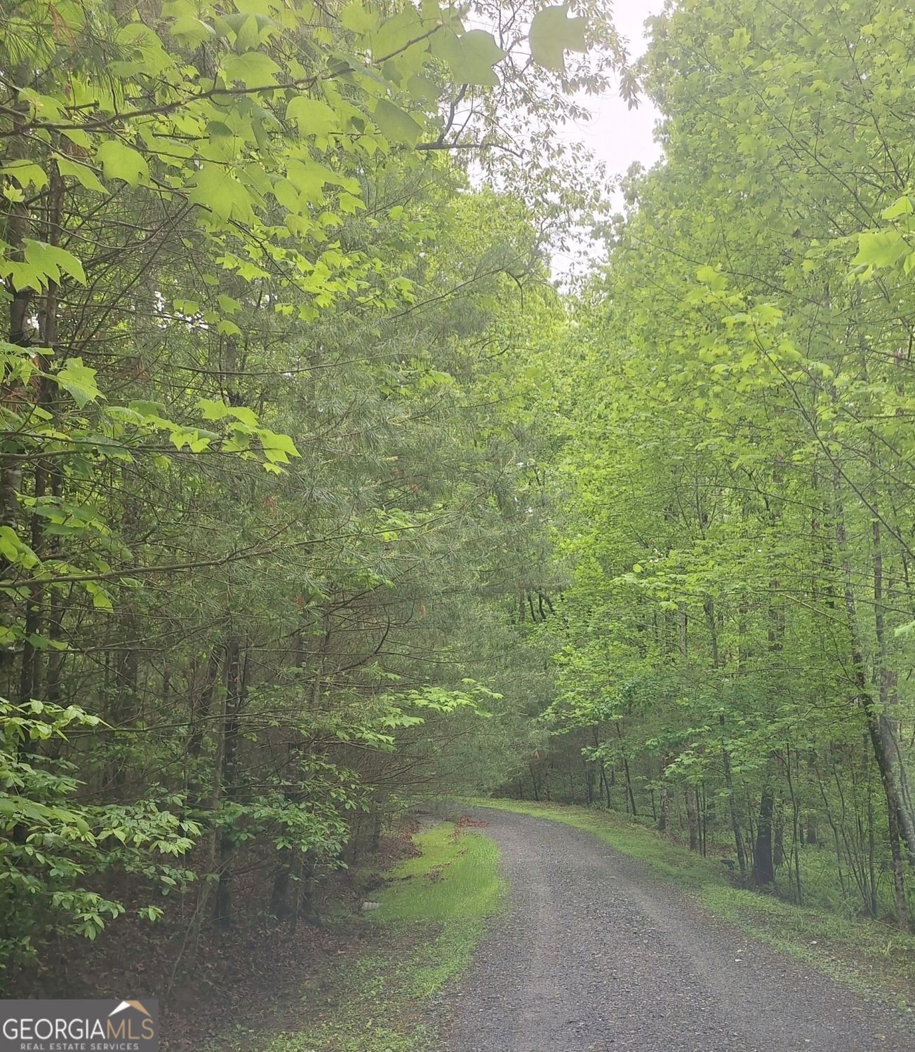 Property Photo:  Lot 14 Noontootla Ridge Court  GA 30513 