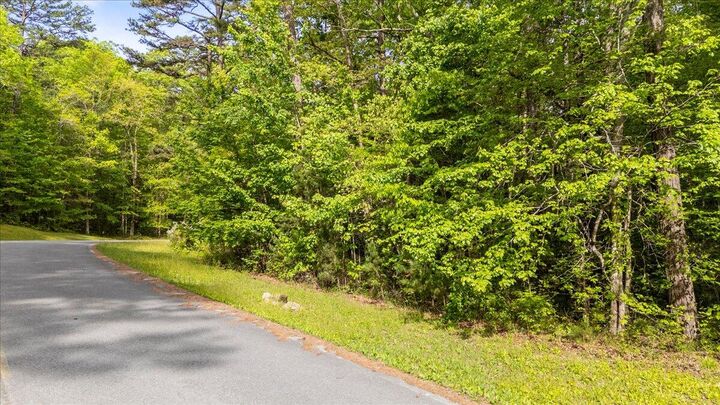 Property Photo:  0 Clear Brooks Drive  TN 37377 
