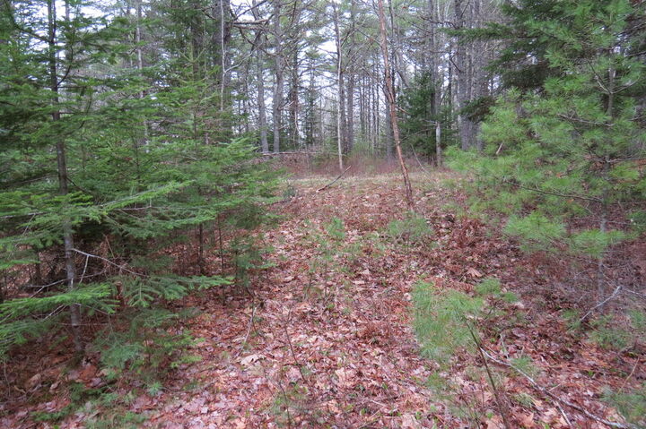 Property Photo: 23 Porcupine Road ME 04664