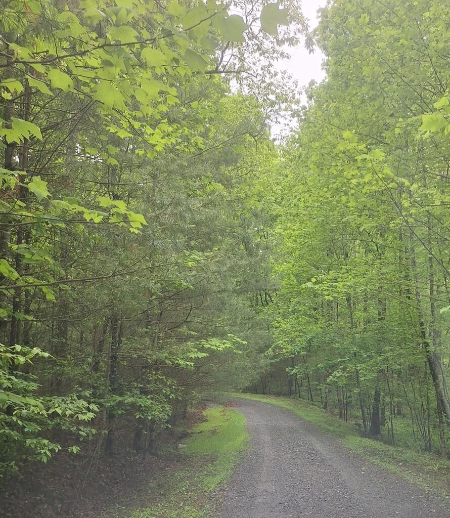 Property Photo:  Lot 14 Noontootla Ridge Court  GA 30513 