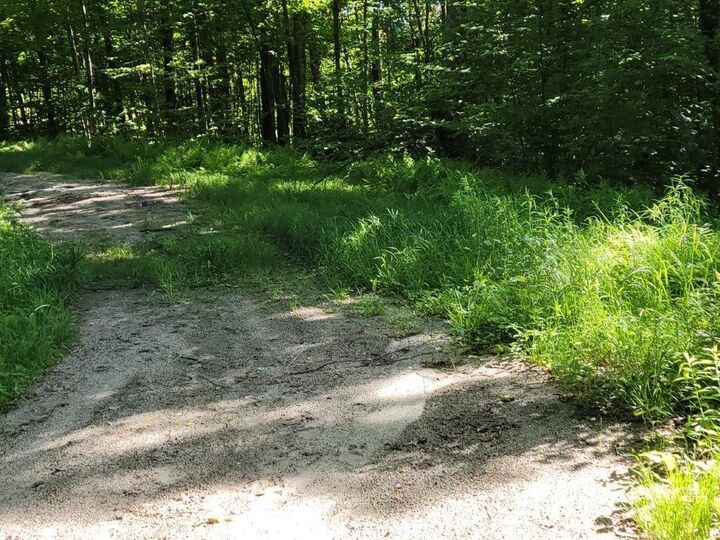 Property Photo:  Lot 26 Presidential View Lane  NH 03574 