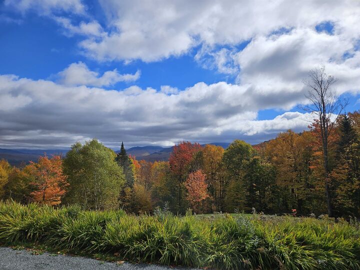Property Photo:  Lot 26 Presidential View Lane  NH 03574 