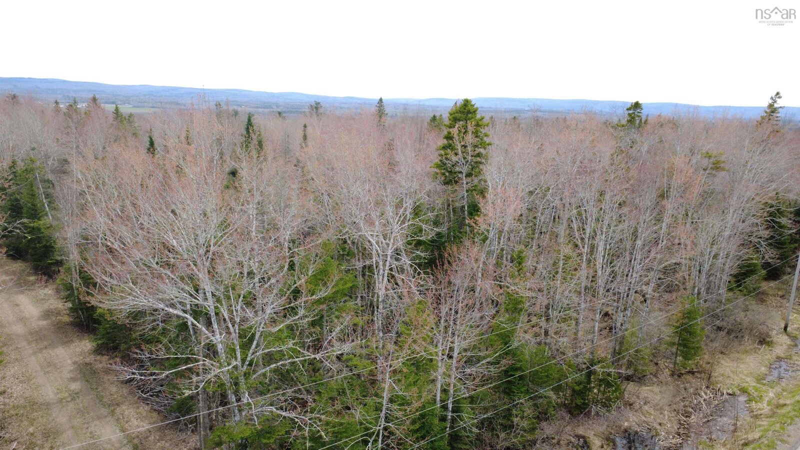 Property Photo:  2 Arce Lot Black River Road  NS B0K 1R0 