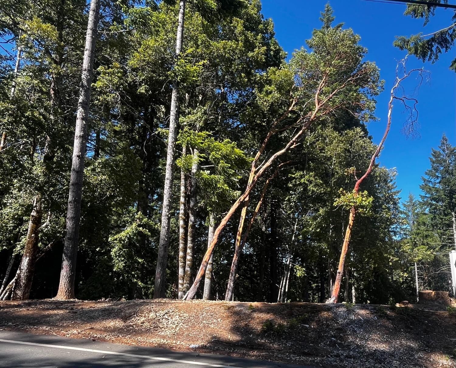 Property Photo:  2374 Goose Road  CA 95490 