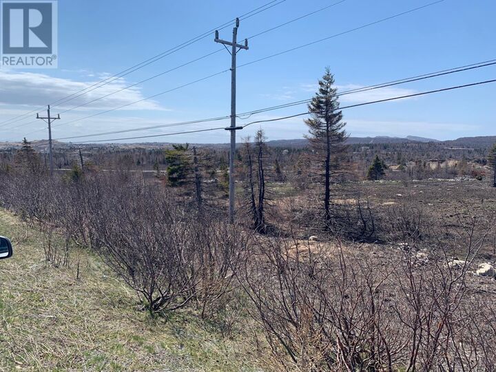 Property Photo:  Main Road 127-147  NL A0A 1L0 