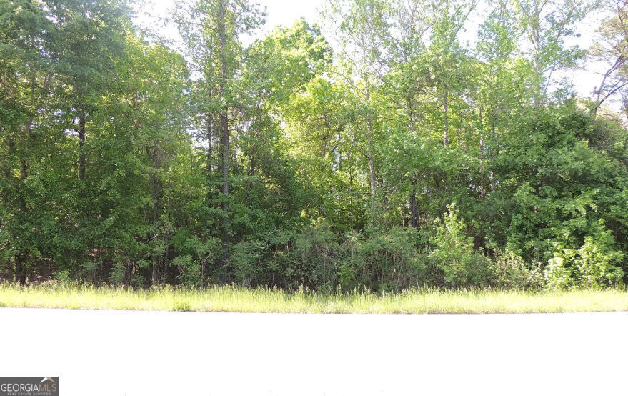 Property Photo:  0 Causey Rd  GA 31050 