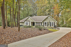 Property Photo:  20 Audubon Point  GA 30265 