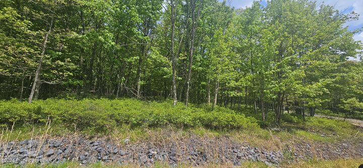 Property Photo: Lv Lot 052 Crnr Mountain Laurel & Dogwood Drive PA 18202