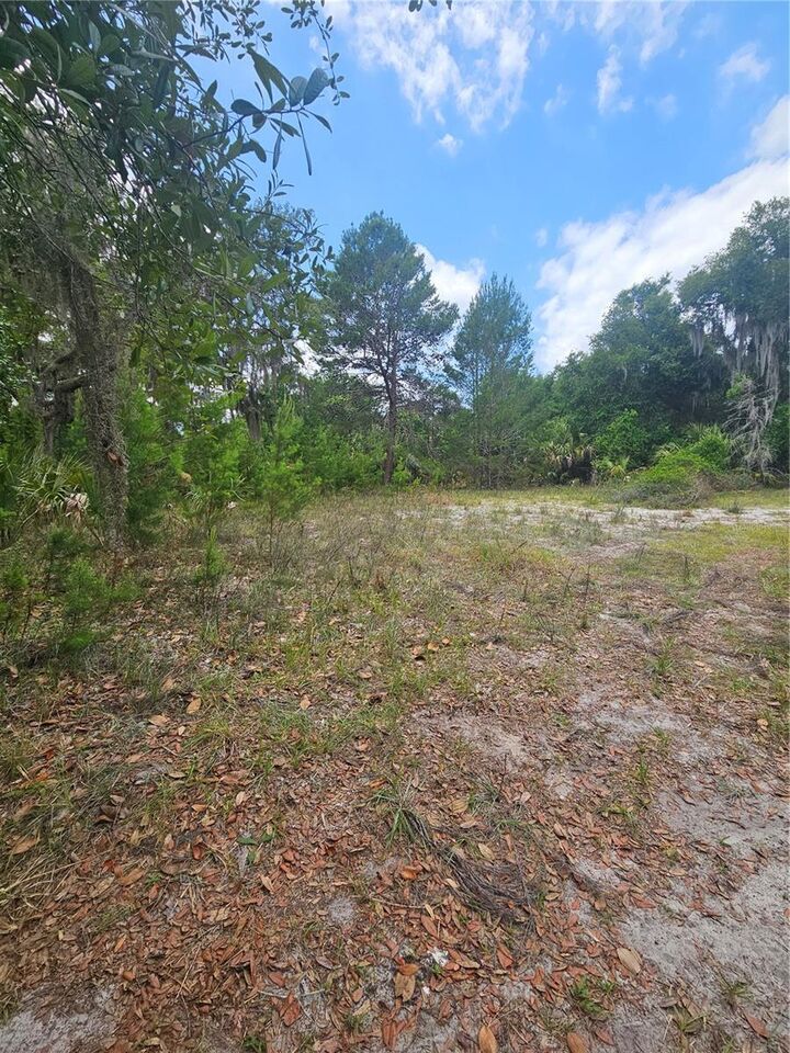 Property Photo:  00 Culver Way  FL 32732 