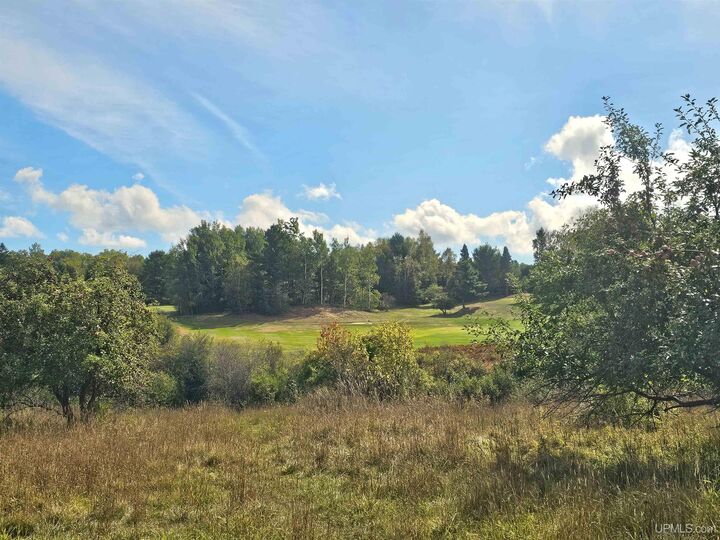 Property Photo: 22089 River Trails Road MI 49931