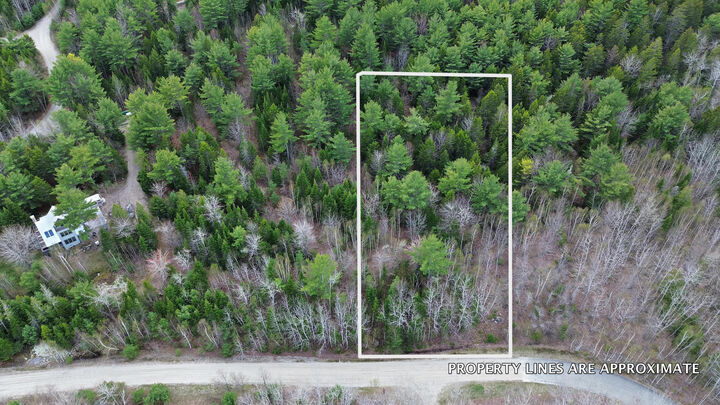 Property Photo:  Lot 1 Bailey Mountain Road  ME 04634 