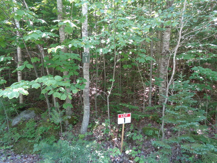 Property Photo: Lot 1 Bailey Mountain Road ME 04634