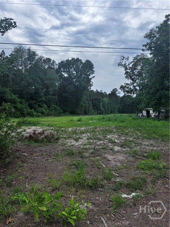 Property Photo: 0 Fort Argyle Road GA 31419