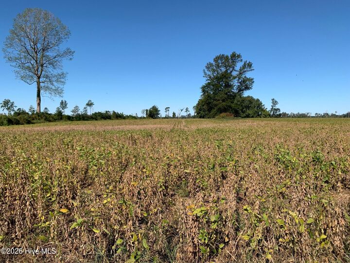 Property Photo:  Tbd Hendrix Lane  NC 27983 