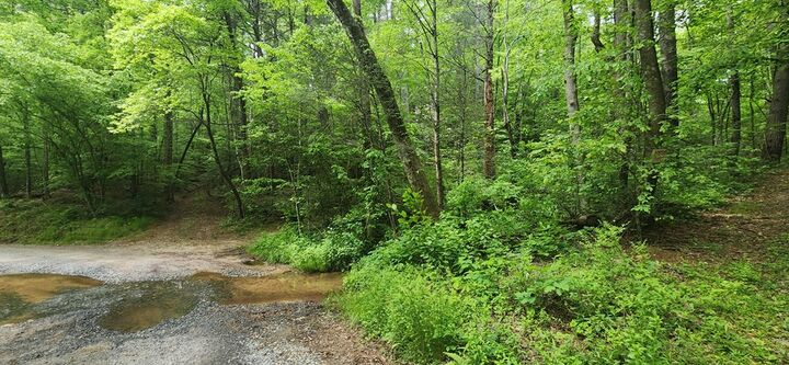 Property Photo:  13 Acres Goose Island Road  GA 30540 