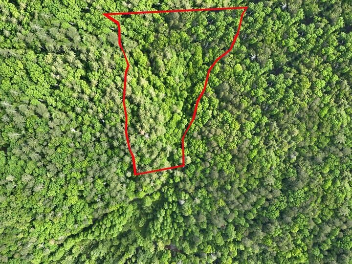 Property Photo:  13 Acres Goose Island Road  GA 30540 