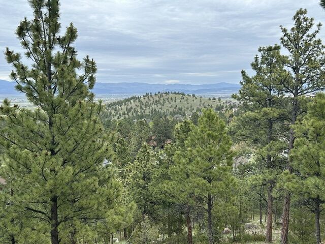 Property Photo:  2511 Gold Rush Avenue  MT 59601 