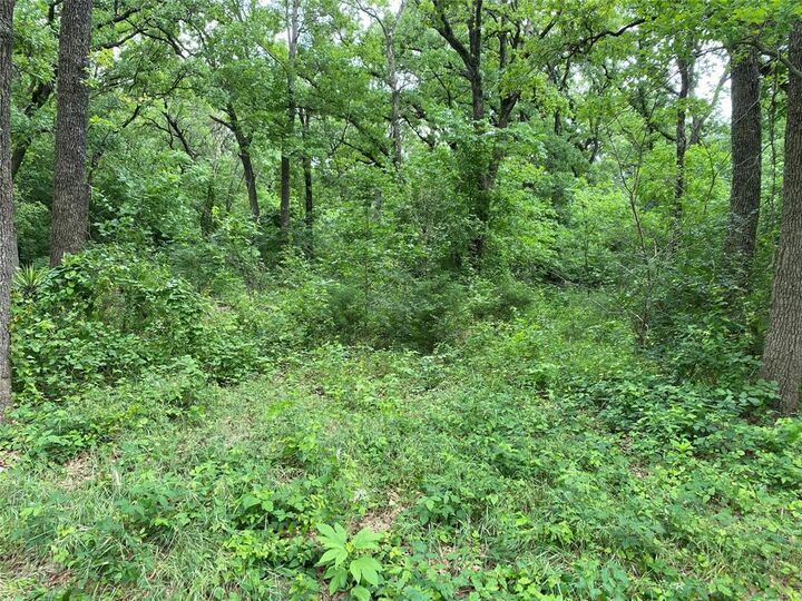 Property Photo:  Tbd NW County Road 3323  TX 76641 