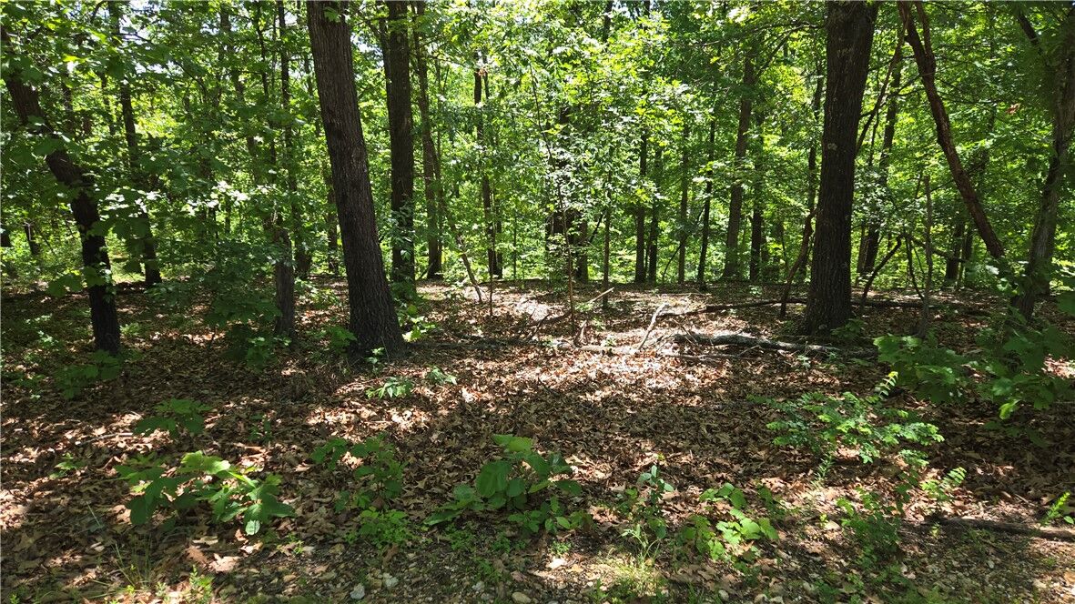 Property Photo:  Tummell Drive  AR 72715 