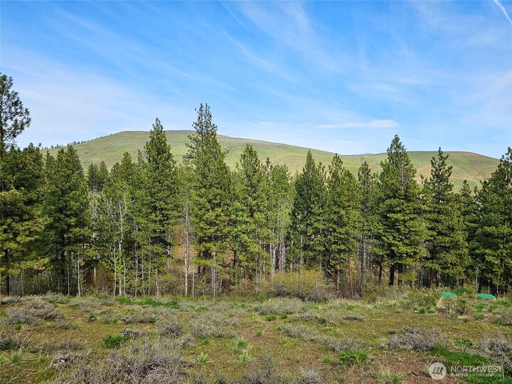 Property Photo: 48 Whitebark Lane WA 98862