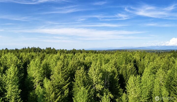 Property Photo:  15313  Sunnyside Lane SE  WA 98509 