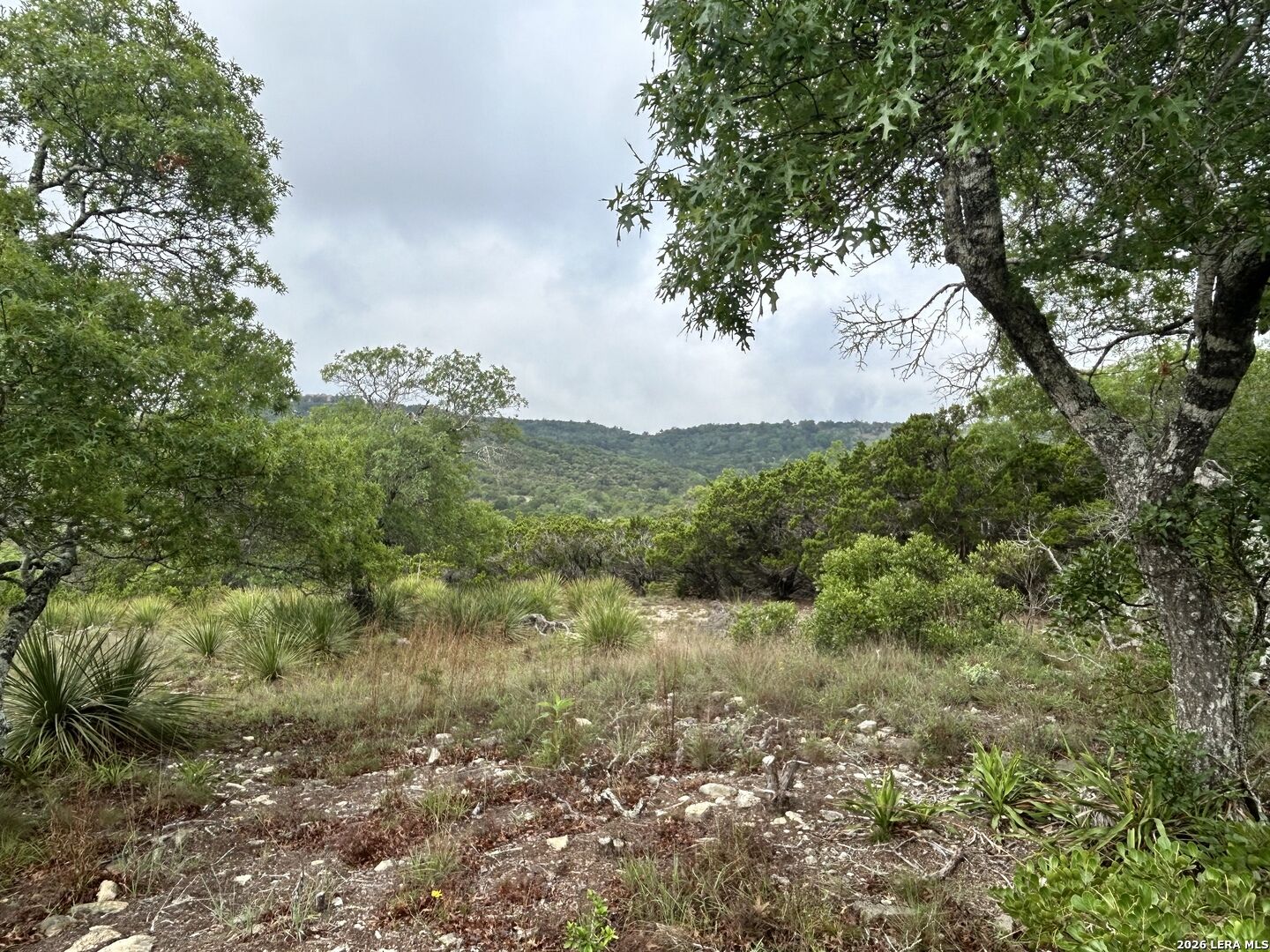 Property Photo: 239 Estancia Ln TX 78006